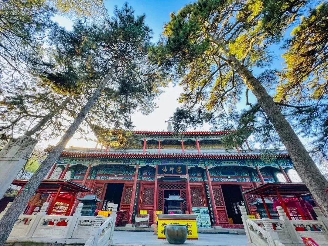 Pékin